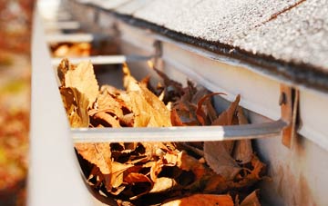 Limestone Brae gutter cleaning companies